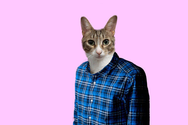 абстрактное концептуальное искусство человеческого тела с кошачьей головой