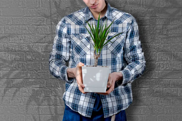 Une personne tenant la plante à la maison dans le pot, se soucier du concept de l'environnement, copier l'espace — Photo