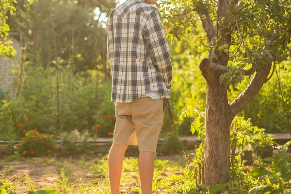 rear view of young person standing outdoor and piss under the trees