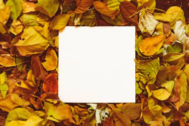 Metniniz için sonbahar yaprakları içeren bir kopya uzay modelleme tasarımı