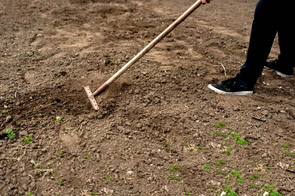 Садівник орає вологий ґрунт з грабежем b — стокове фото