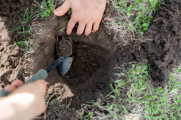 Jongeman houden bos grond met aarde wormen b — Stockfoto