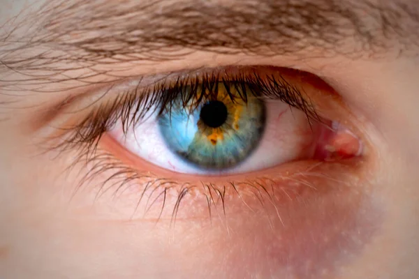 Fermer les yeux rouges des mâles fous et en colère — Photo