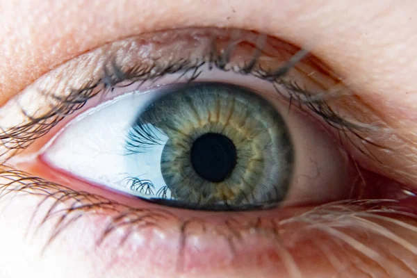 Close up macro eye of an attractive man b — Stock Photo, Image