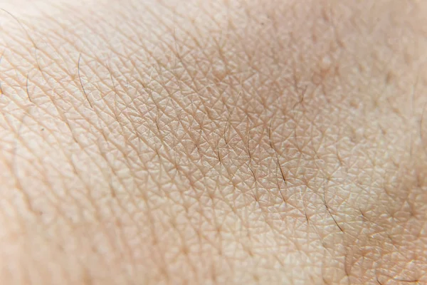 Macro photo of a human skin texture b — Stock Photo, Image