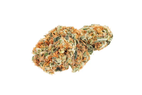 One Marijuana Bud Isolated White Background — Stock Photo, Image