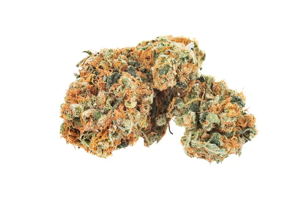 One Marijuana Bud Isolated White Background Stock Photo