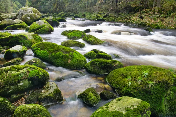 Cascada de río de montaña Imágenes de stock libres de derechos