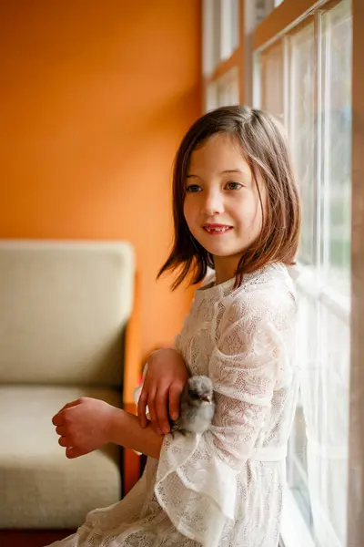 Cute Little Child Holding Small Baby Chick Hands — Stock Photo, Image