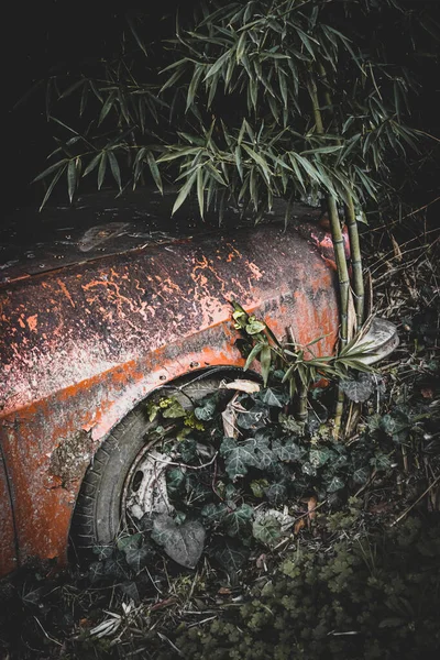 Vecchia Auto Schiantata Distrutta Con Piante Che Nel Tempo Stavano — Foto Stock