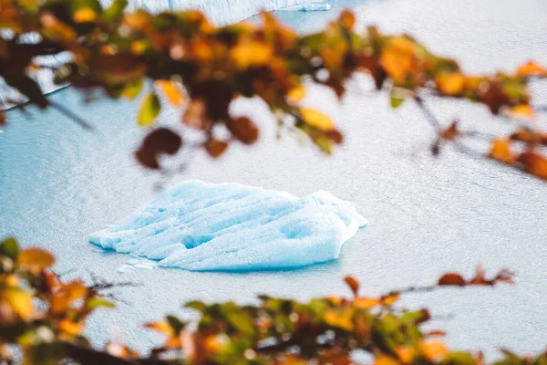 Снег Покрыт Льдом Фоне Леса — стоковое фото