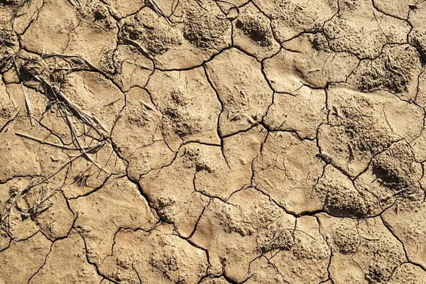 Cracked Dry Soil Surface — Stock Photo, Image
