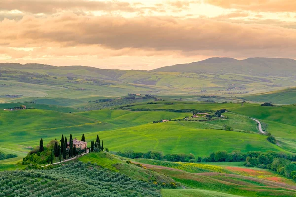 Podere Belvedere Při Východu Slunce San Quirico Orcia Val Orcia — Stock fotografie