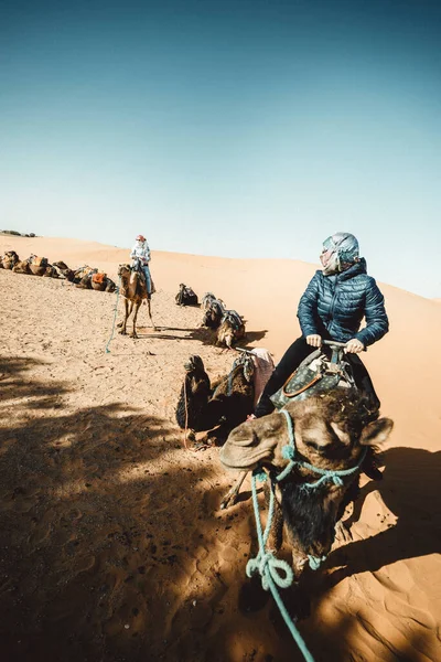 Merzouga Sahara Marocco Dettagli Del Deserto Con Dromedari — Foto Stock