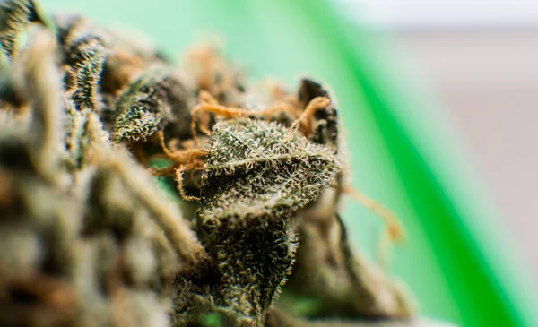 Tricomas Terpenos Elementos Marihuana Elementos Químicos Los Brotes Marihuana — Foto de Stock