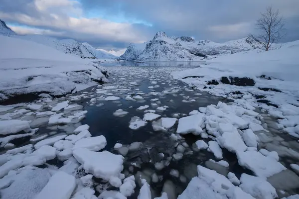 Eisgefüllte Bucht Mit Weit Entfernten Bergen Flockenpollen Erhabenen Inseln Nirgends — Stockfoto