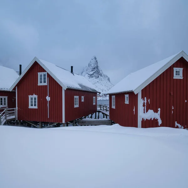 挪威罗浮敦群岛奥尔茨蒂德山顶 红色罗浮布小木屋在积雪覆盖的海岸线上升起 — 图库照片