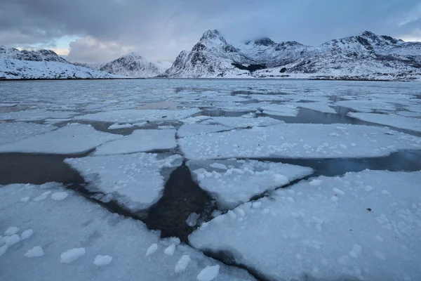 Částečně Zmrazený Záliv Flakstadpylu Lofotenské Ostrovy Norsko — Stock fotografie