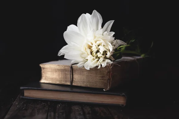 Белый Цветок Книга Черном Фоне — стоковое фото