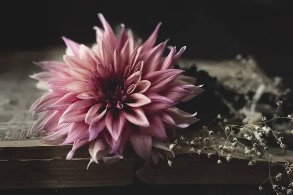 Belles Fleurs Livre Sur Fond Noir — Photo