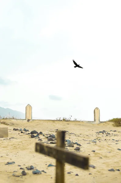 Raven Volant Dans Vieux Cimetière Sur Une Plage Fuerteventura Îles — Photo