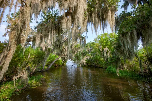 Rivier Groene Bomen Natuur Achtergrond — Stockfoto