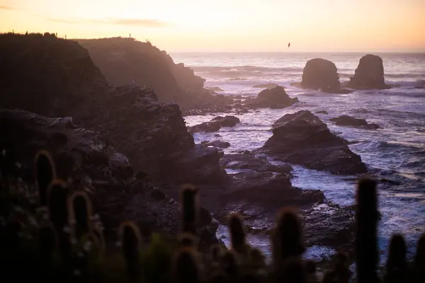 Bellissimo Tramonto Sul Mare Sullo Sfondo Della Natura — Foto Stock