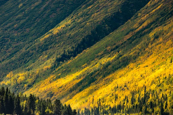 Forêt Bord Lac Lower Russian Automne Kenai Alaska Usa — Photo