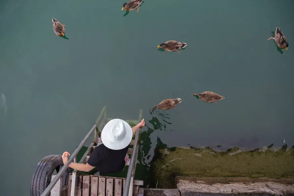 Person Sitting Edge Dock Feeding Ducks — Stock Photo, Image