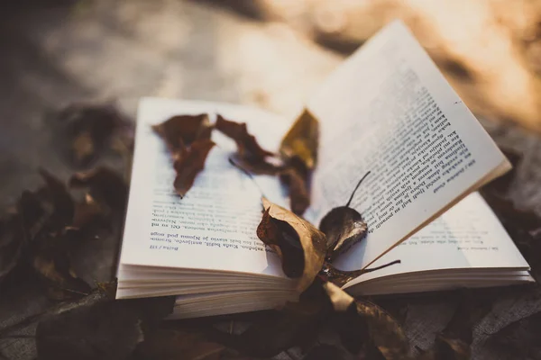 Книга Сухими Листьями Старом Деревянном Столе Осенью — стоковое фото