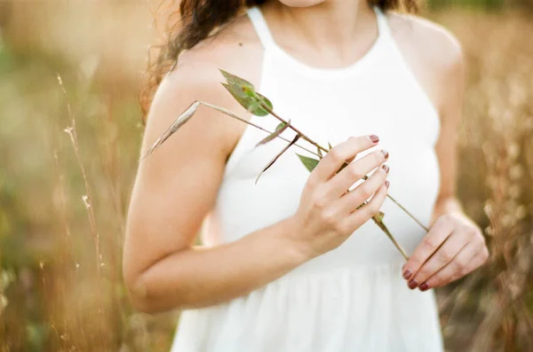 Mulher Segurando Grama Alta Com Mãos Campo Durante Pôr Sol — Fotografia de Stock