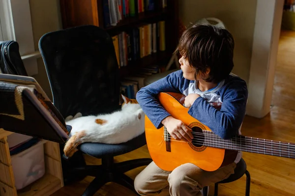 Boy Looks Out Window Holding Guitar Next Sleeping Cat — Stock Photo, Image