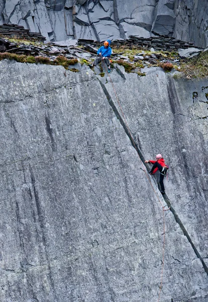 Mujer Escalando Empinada Cara Roca Cantera Pizarra Norte Gales — Foto de Stock