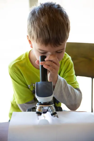 Primer Plano Del Niño Mirando Través Microscopio Insecto — Foto de Stock
