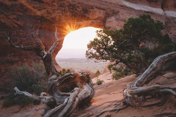 Piękny Krajobraz Wielkiego Kanionu Utah — Zdjęcie stockowe