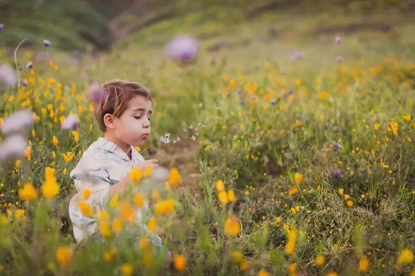 フィールドのかわいい男の子 — ストック写真