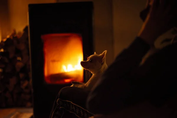 Young Woman Dog Sitting Fireplace Talking Smartphone — Stock Photo, Image
