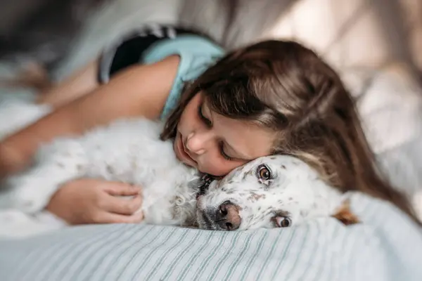 女孩在早晨的阳光下拥抱她的英国雪人狗 — 图库照片