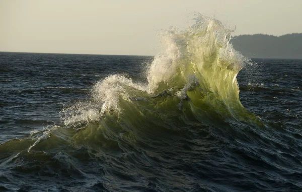 Ola Chapoteo Del Agua Tormenta Antecedentes —  Fotos de Stock