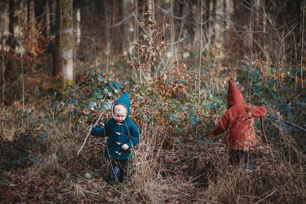 Dzieci Spacerujące Lesie Wełnianych Kurtkach Zimowy Dzień — Zdjęcie stockowe