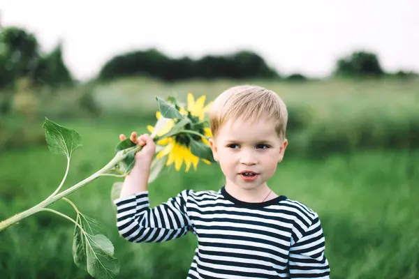 小男孩笑着把向日葵抱在地里 — 图库照片