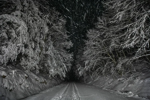 Bei Blizzard Nachts Auf Verschneiter Straße Wald Unterwegs — Stockfoto
