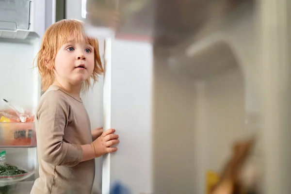 Red Haired Child Looks Refrigerator Looking Food — Stock Photo, Image