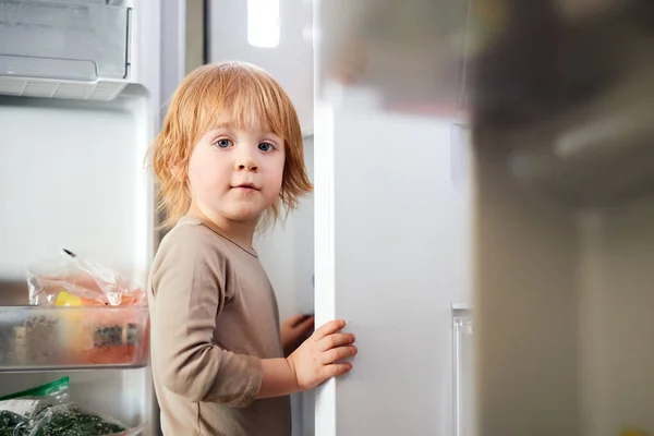 Red Haired Child Looks Refrigerator Looking Food — Stock Photo, Image