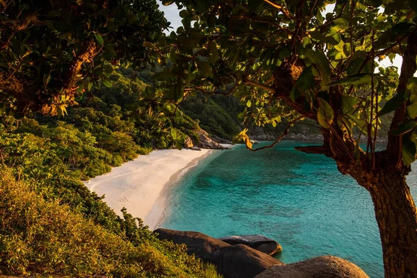 Mooi Tropisch Strand Met Palmbomen Zee — Stockfoto