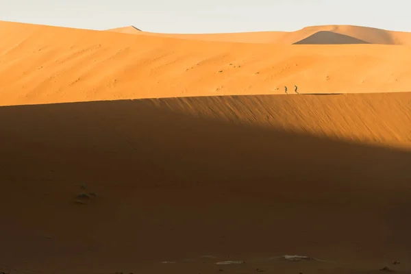 Krásná Krajina Poušti Sahara Maroko — Stock fotografie