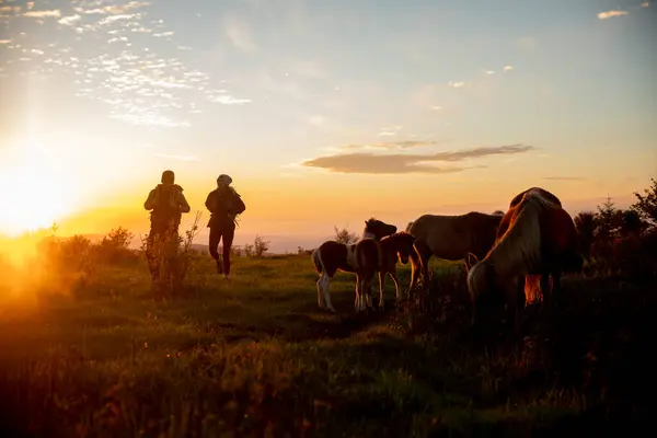 Couple Hiking Wild Ponies Mount Rogers Virginia — Stock Photo, Image