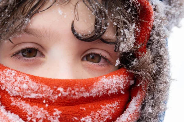 Portrait Cute Little Girl Winter Park — Stock Photo, Image