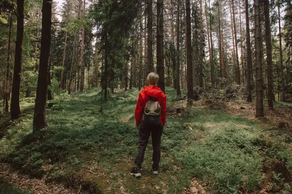 Woman Red Tracksuit Backpack Pine Forest — Stock Photo, Image