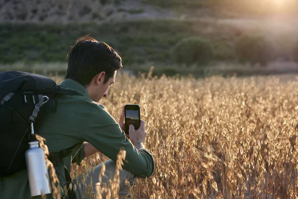 Man Photographer Taking Picture His Mobile Meadow Sunset — Stock Photo, Image
